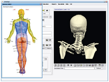 OrthoSys